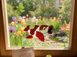 Koi Karpfen